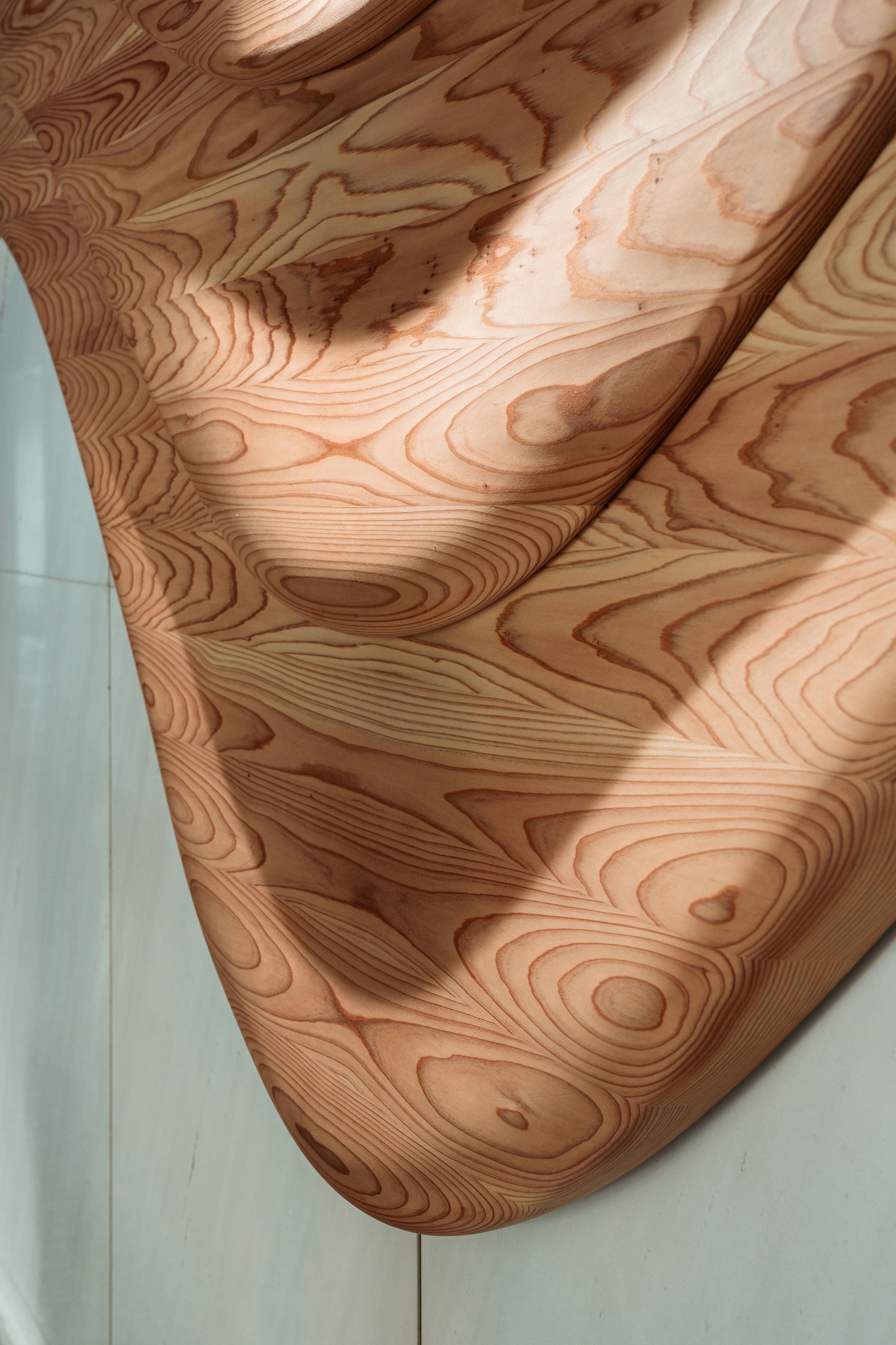 木の風合い・日中