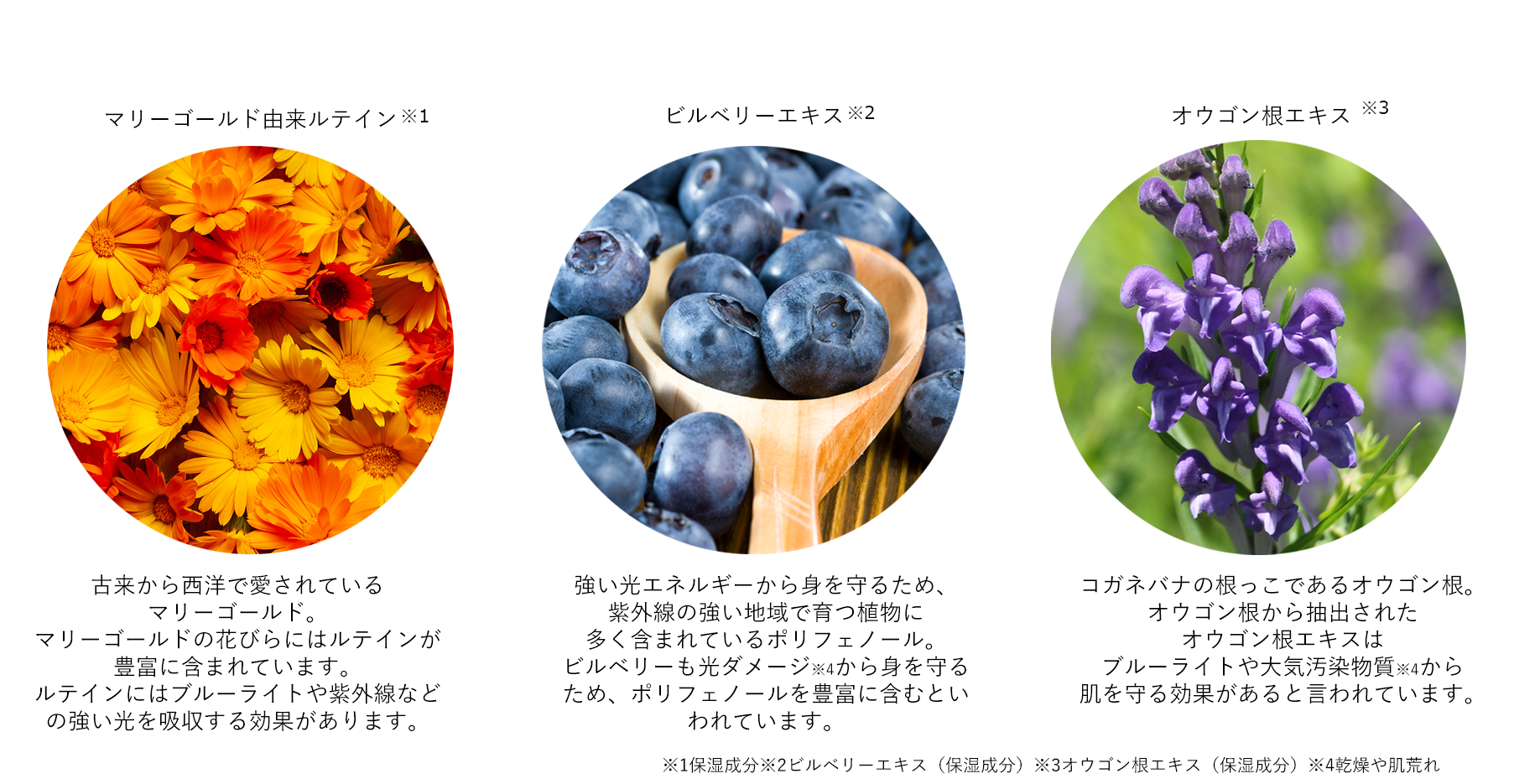 その肌悩み スマホ焼け かも Paraninaからブルーライトケアができる次世代ナイトクリームが登場 株式会社growthagentのプレスリリース