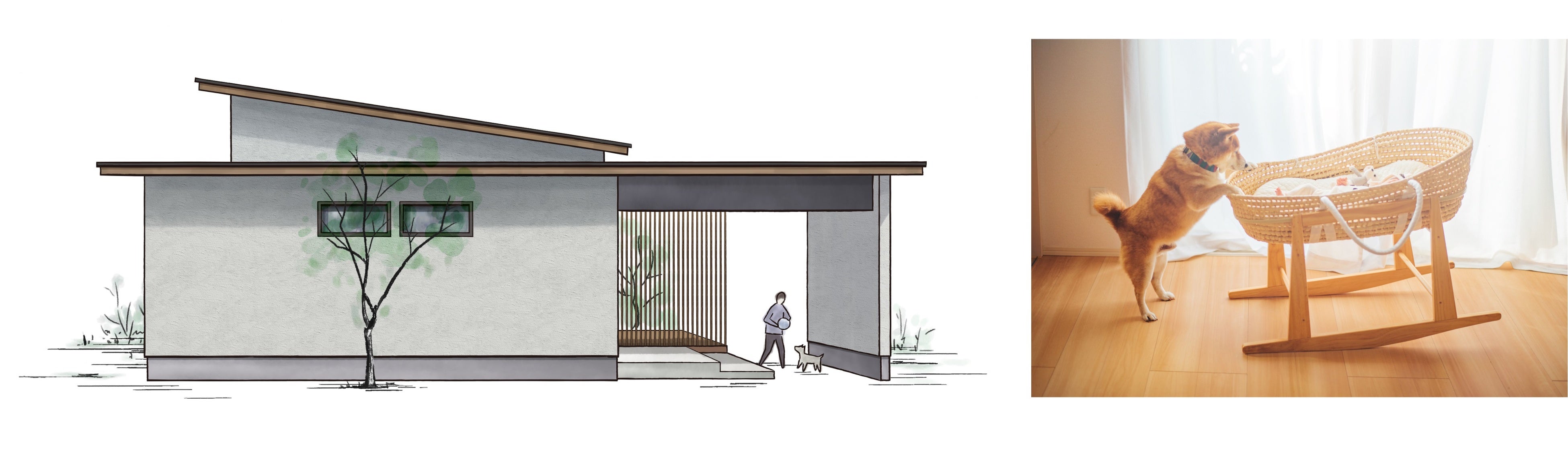 『FAVO for PET』 イメージ