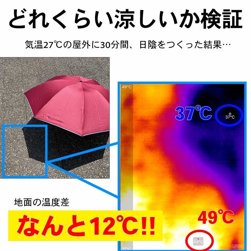 涼しさマイナス12℃