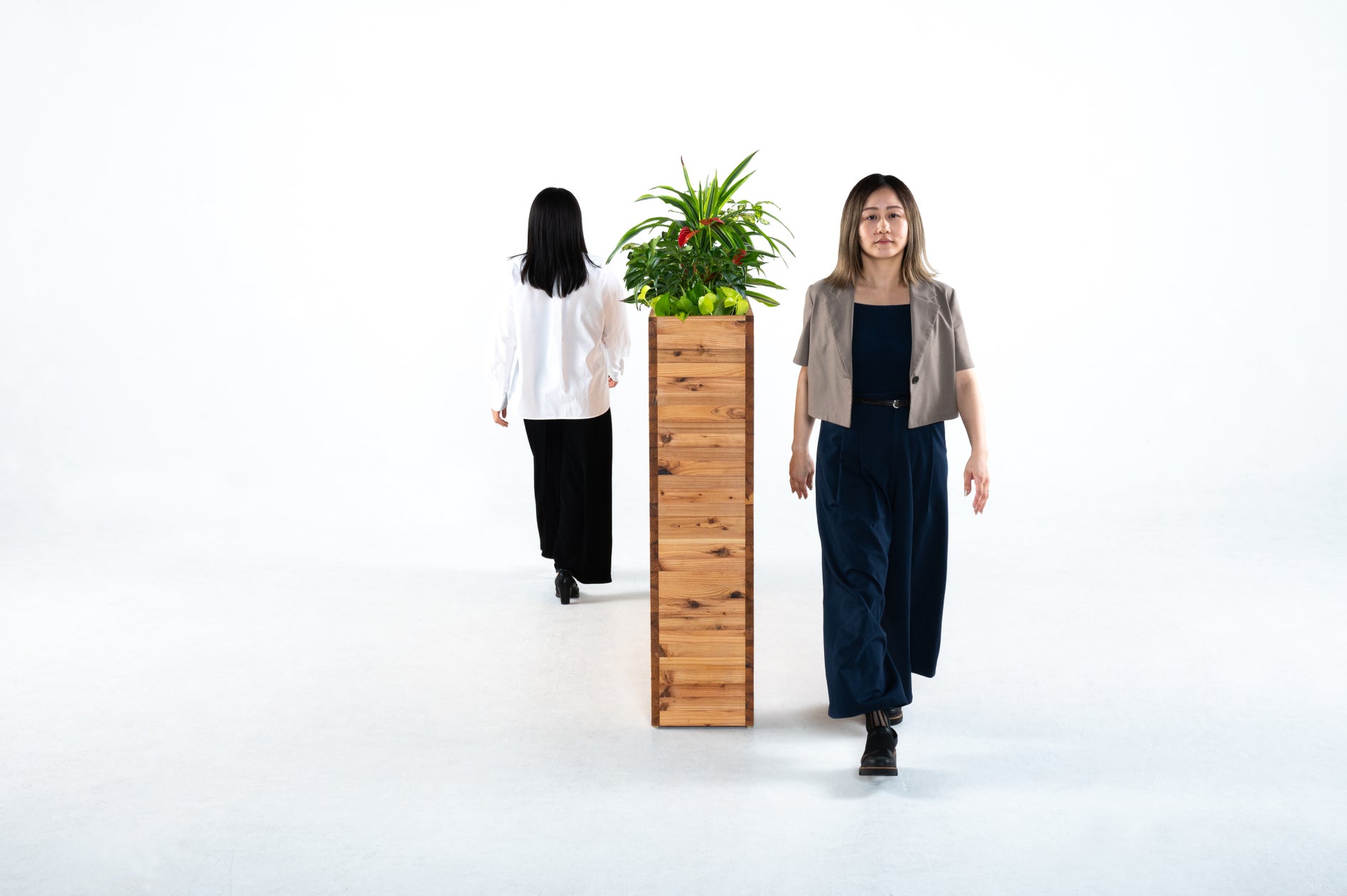 オフィス内に木と緑のゆるやかな仕切りを。天然木の植栽パーティション「Hedge」10月29日から販売開始のお知らせ