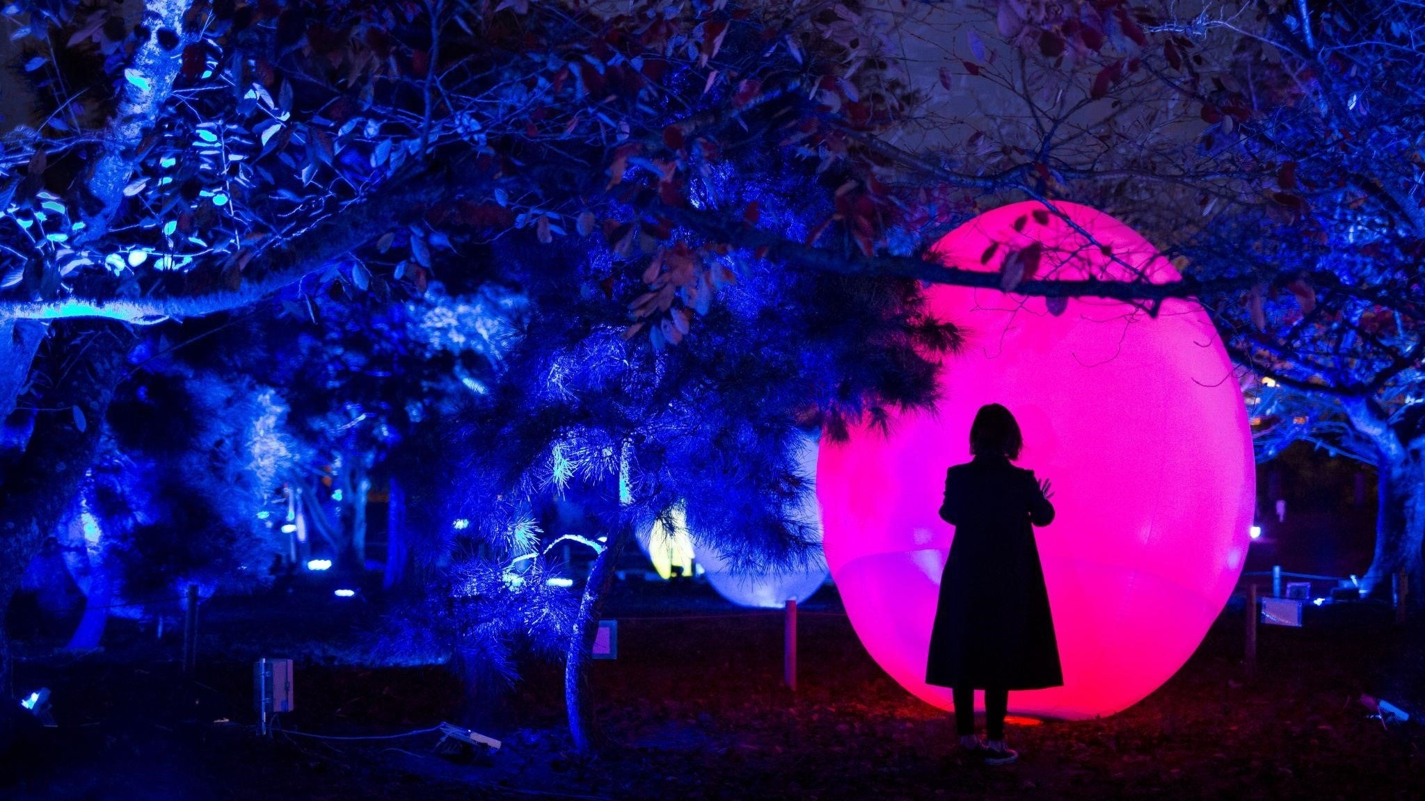 チームラボ《石垣に住まう花と共に生きる動物達》©チームラボ ※参考画像