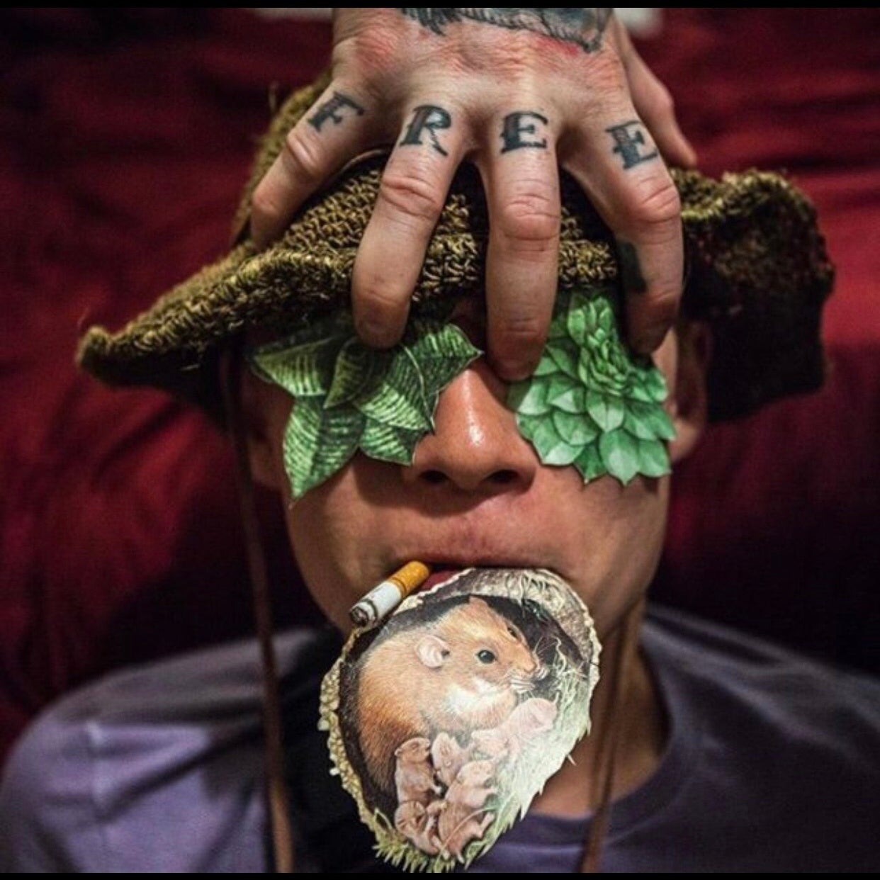 nsejnsej＿プロフィール写真