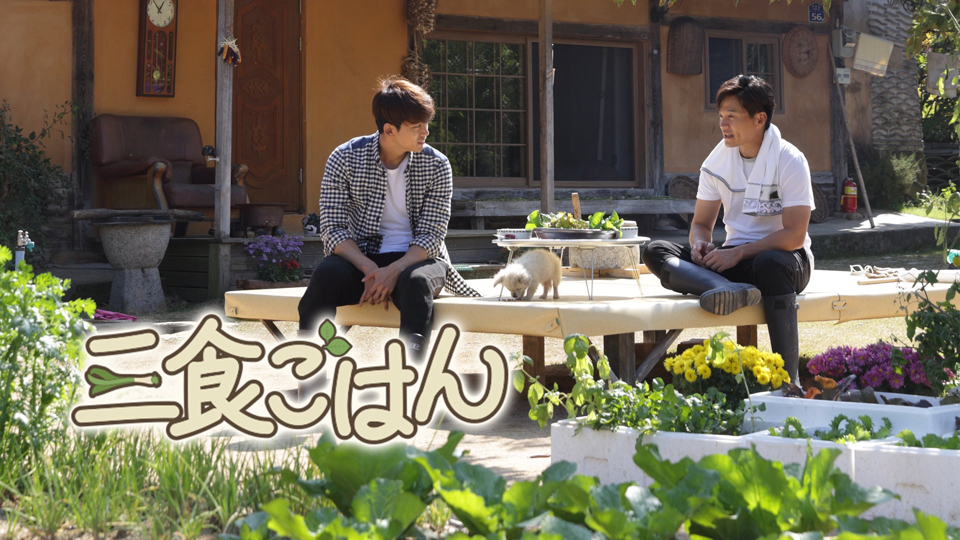 © CJ ENM Co., Ltd, All Rights Reserved