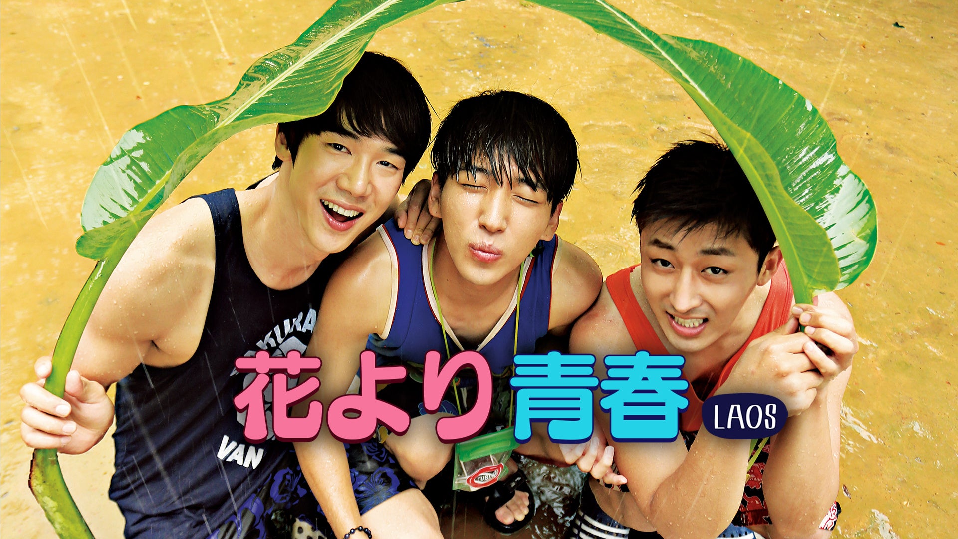 © CJ ENM Co., Ltd, All Rights Reserved