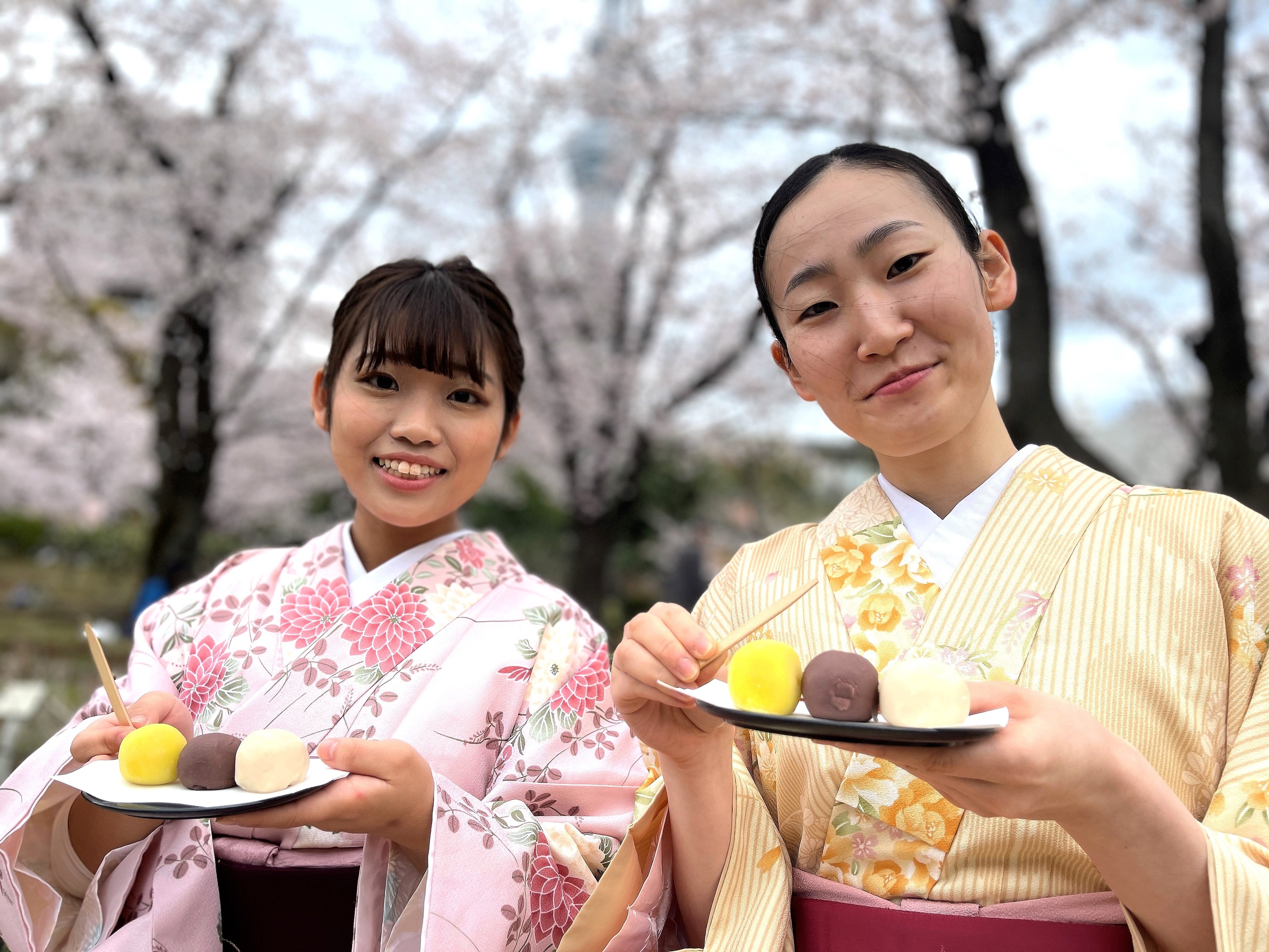 言問団子を食べながらお花見