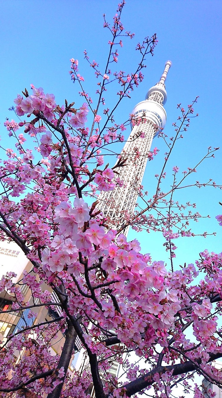 東京ソラマチから見た風景