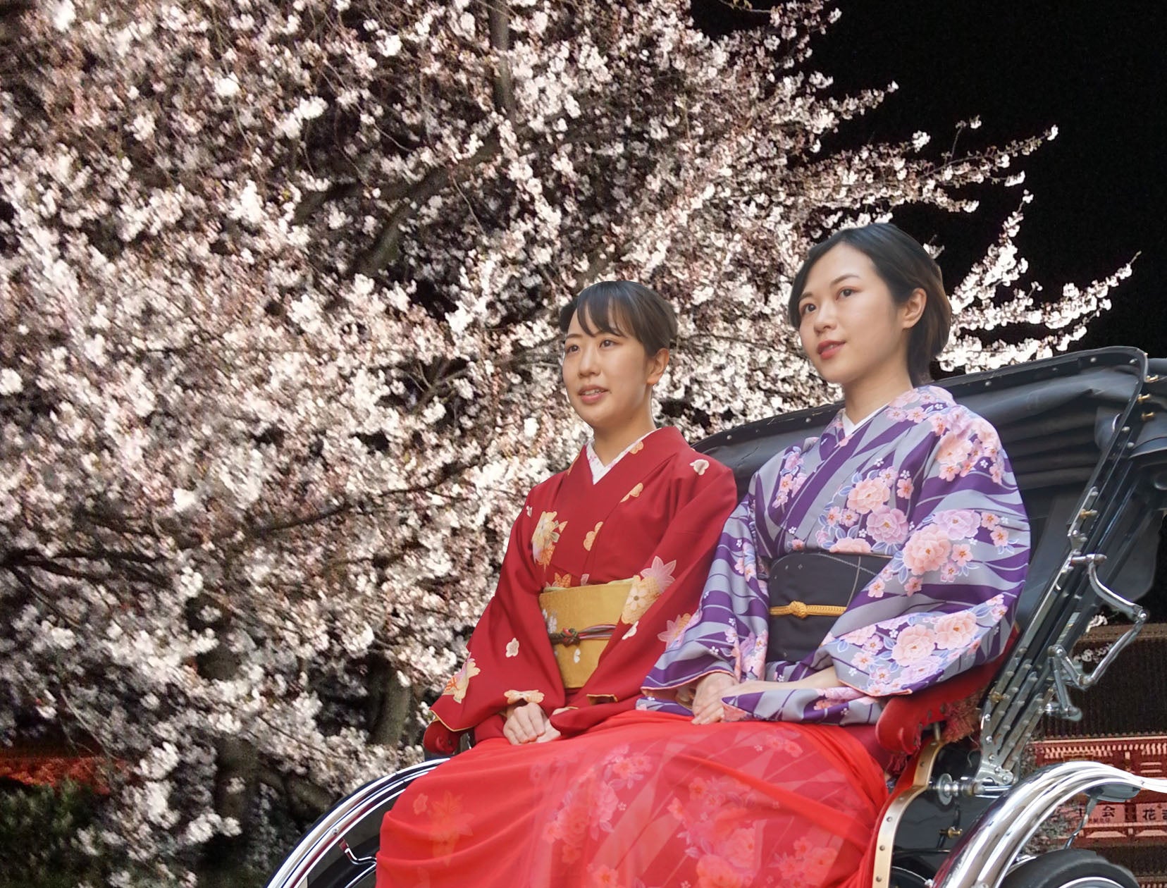 夜桜と人力車　※画像はイメージです