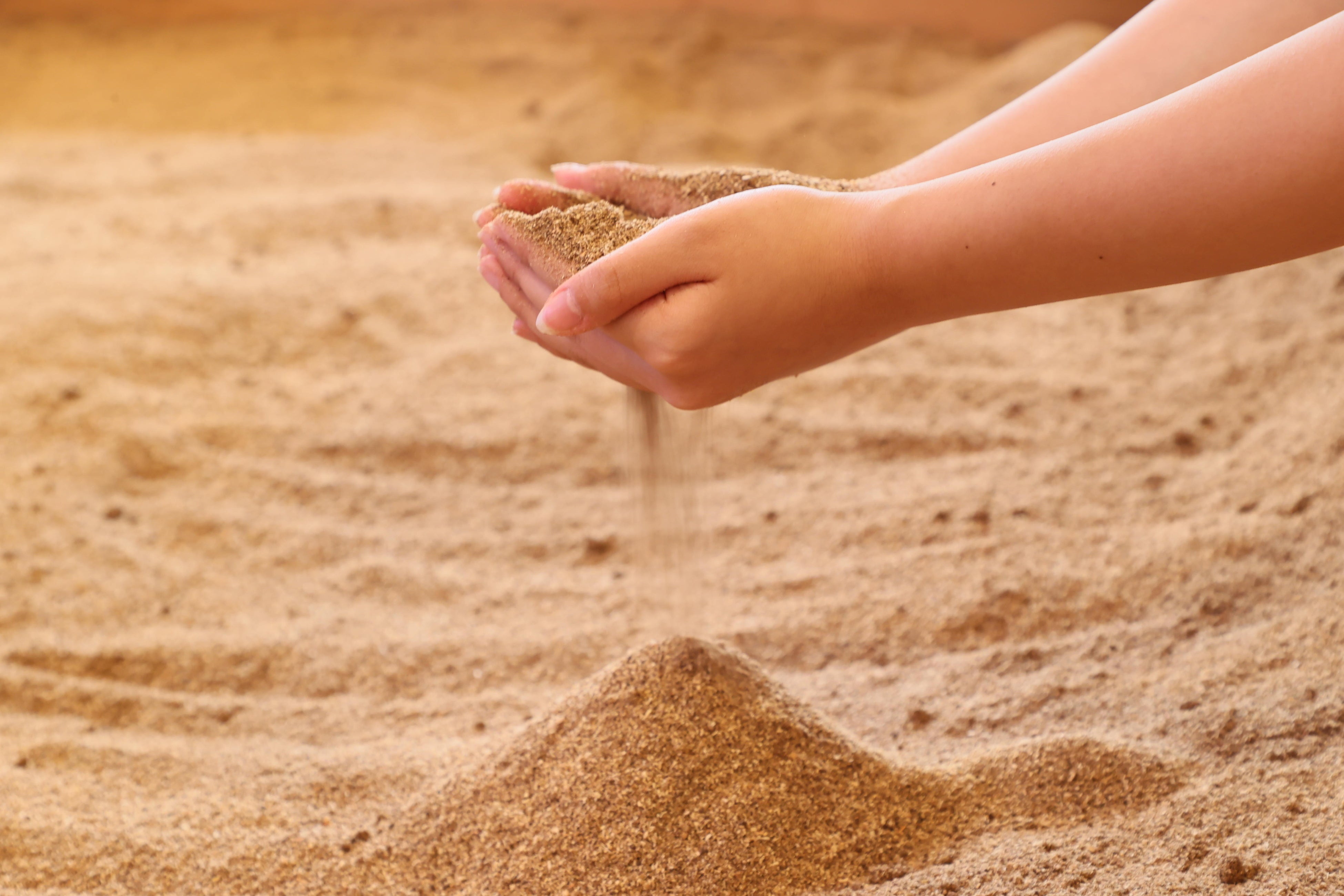 ※画像はイメージです。実物ではありませんのでご注意ください。