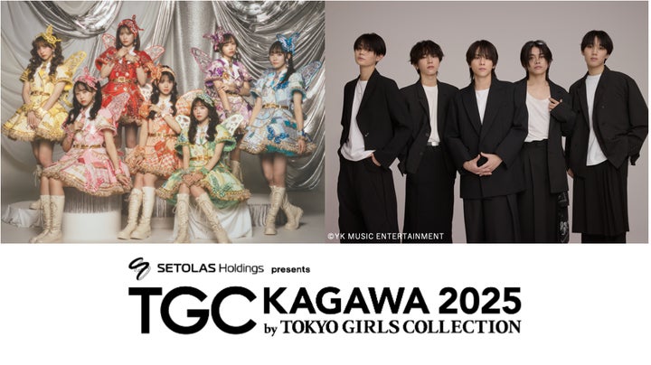 TGC 東京ガールズコレクション 2011 A/W プラチナ席 waonカード TGC TGC 東京ガールズコレクション 2011 A/W プラチナ席 waonカード TGC