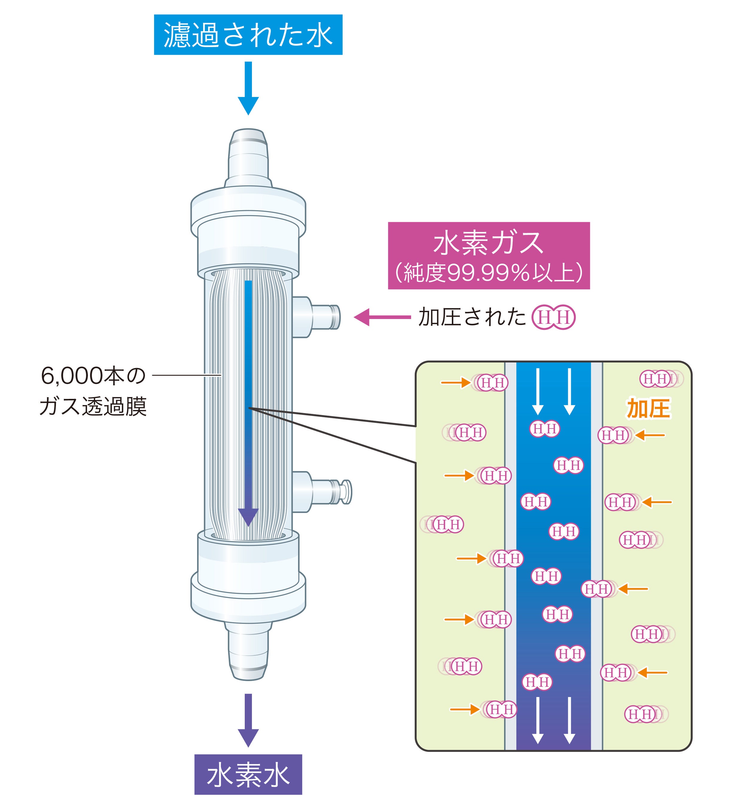 水素入浴で水素ガスは皮膚から体内へ吸収される | 株式会社