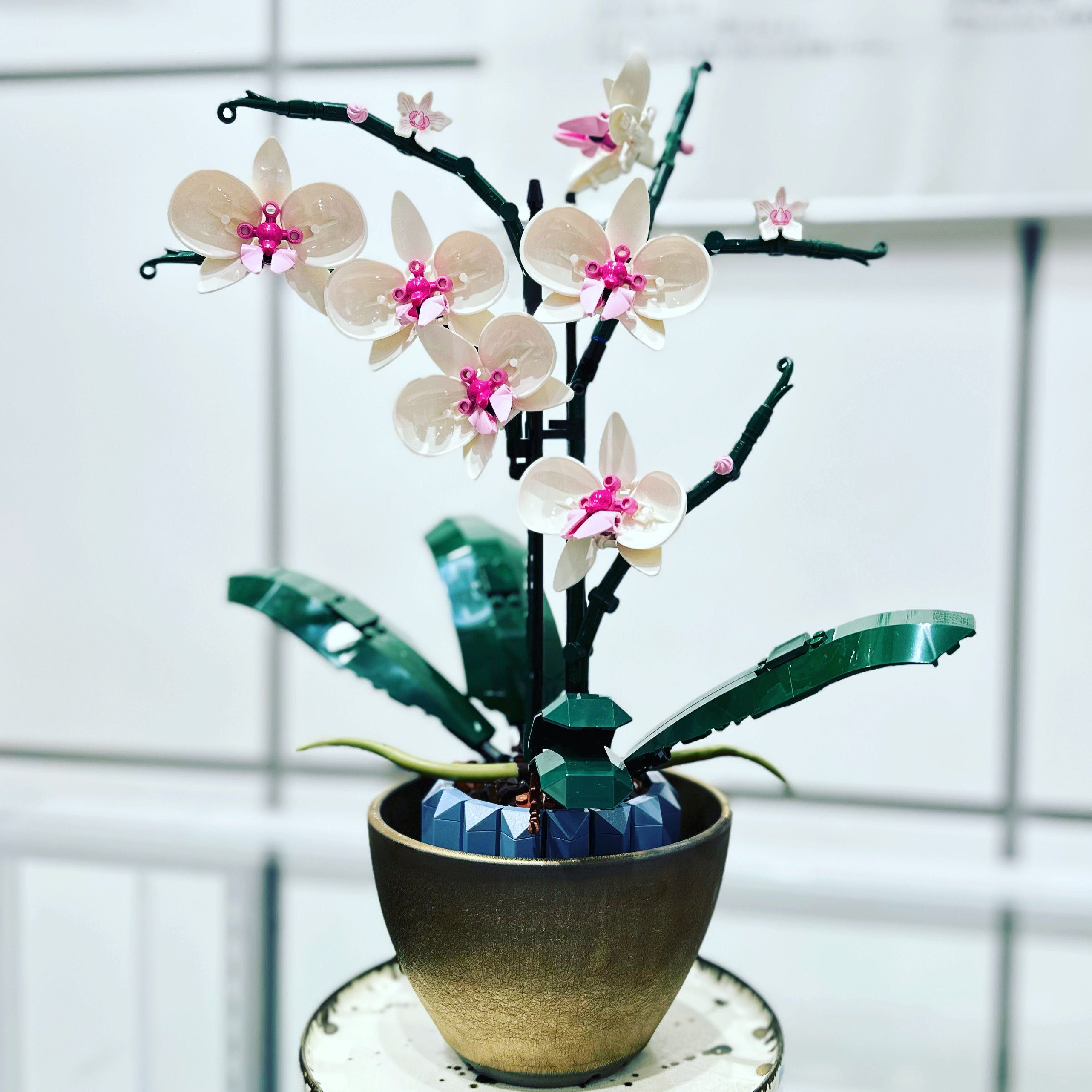 ブリンブリン植木鉢