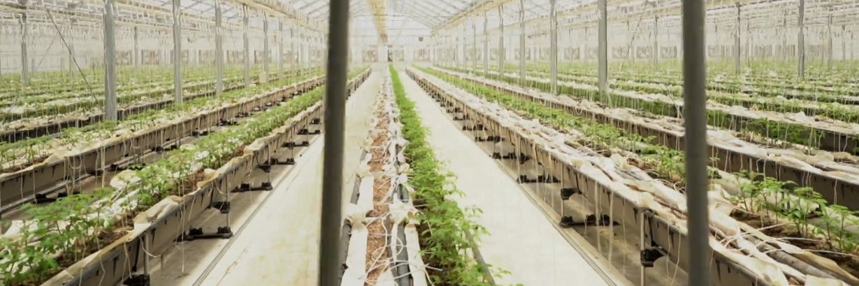 【鯱バス｜デジタルLiveツアー】KngFarm