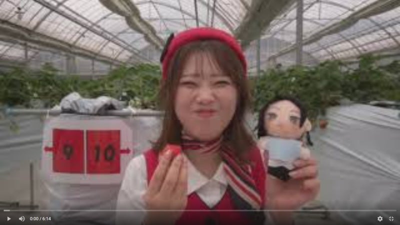 貴女が人形になる オンライン体験ツアー