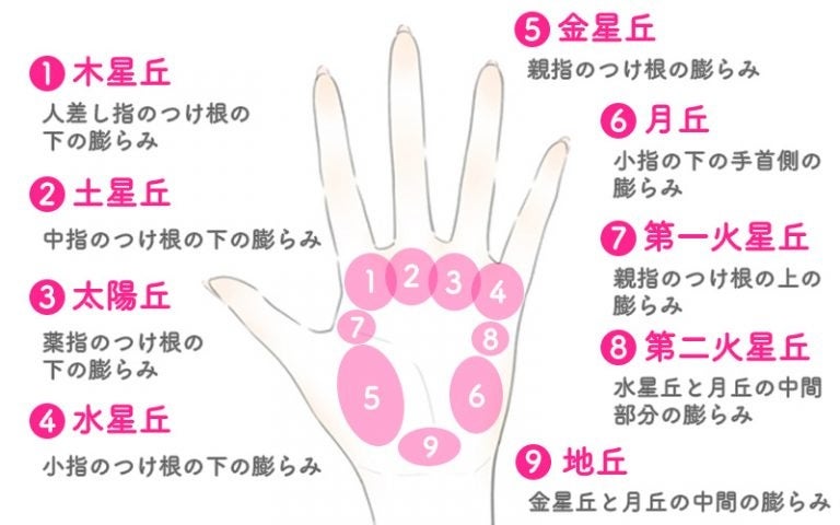 手相占いの【見方・意味・7大線】を解説！あったらラッキーな