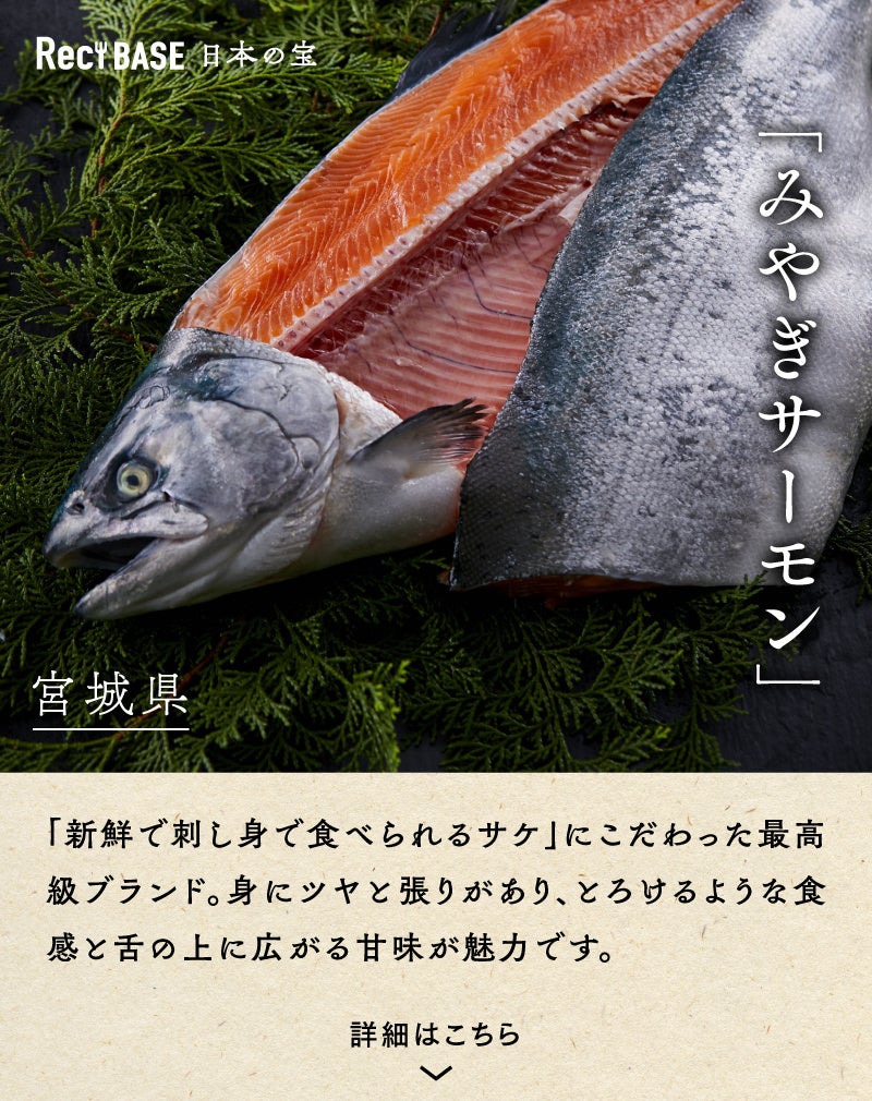 宮城県地産品  [みやぎサーモン]