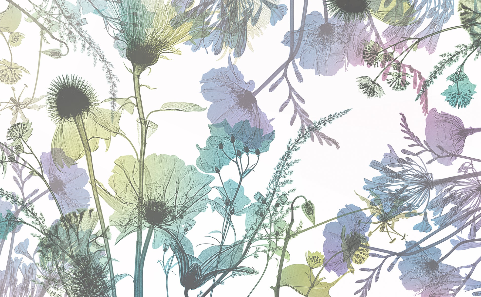 memorif.メインイメージ