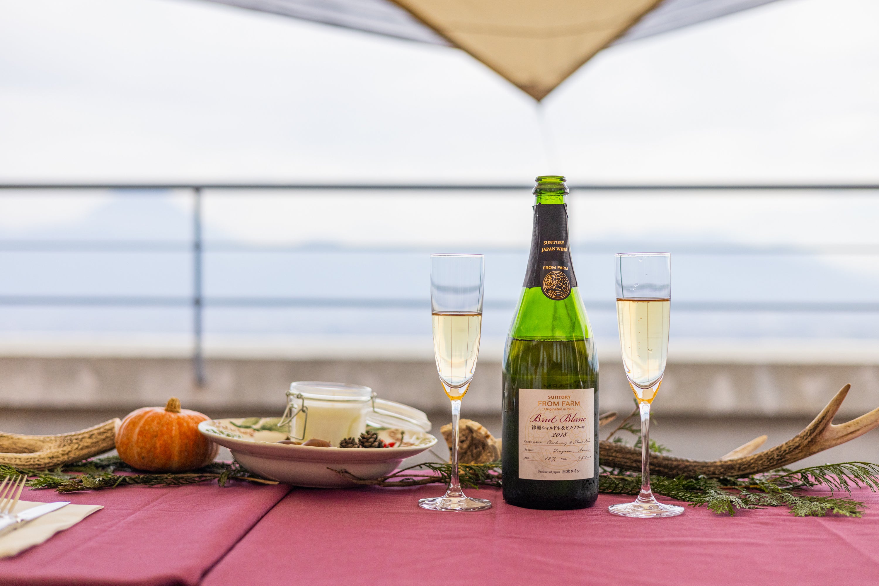 ヘリコプター遊覧_東京離発着_ワイン