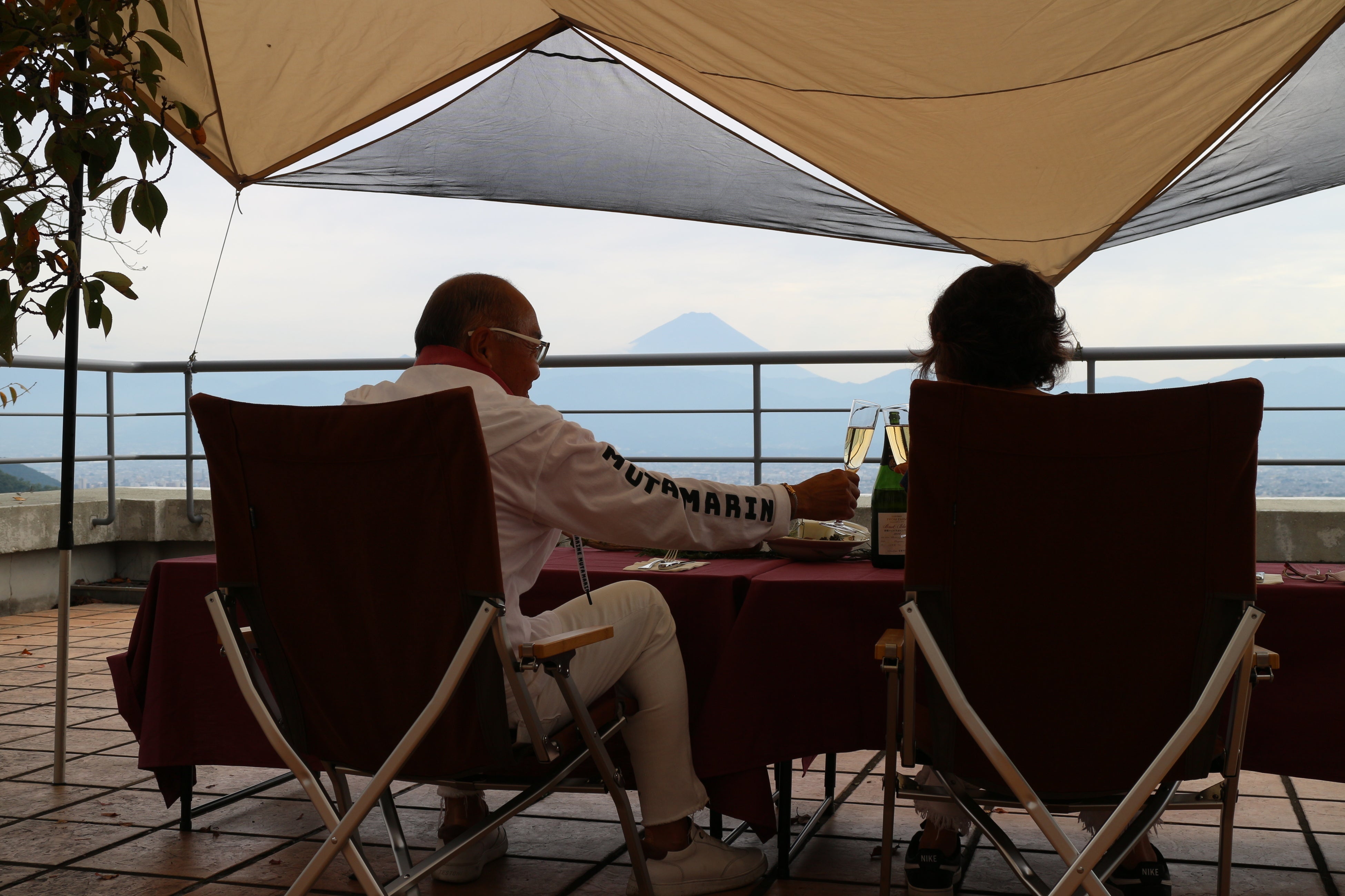 ヘリコプター遊覧_東京離発着_ワイナリー食事