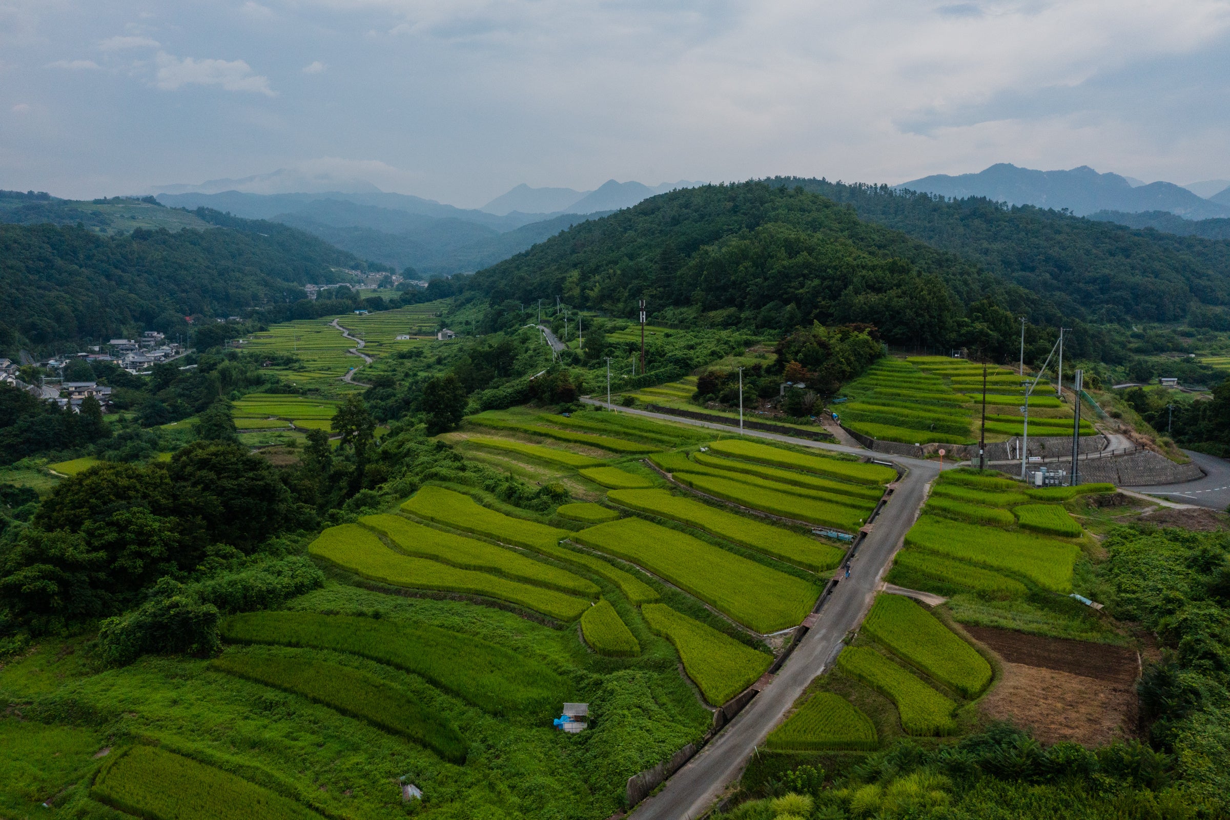 御岳古道ハイク_棚田