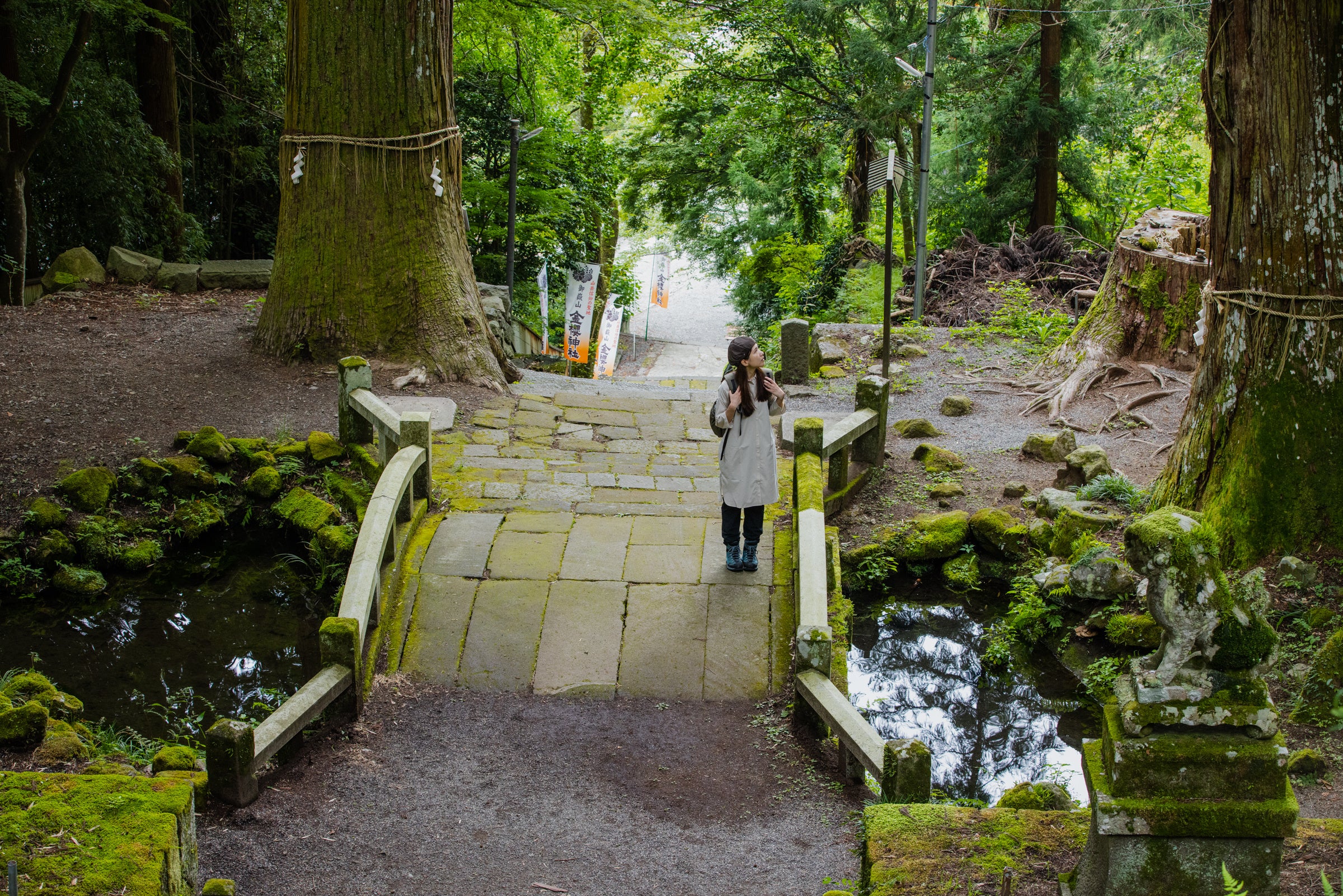 御岳古道ハイク_金櫻神社参道