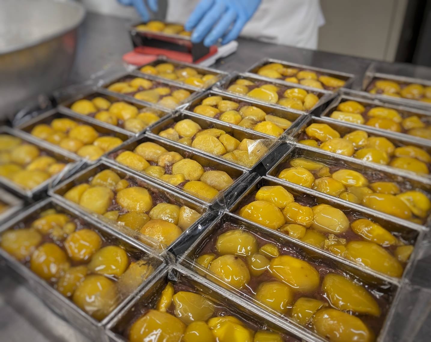 茨城県産　笠間の栗　　たつにぃ 茨城県産 笠間の栗 たつにぃ様専用