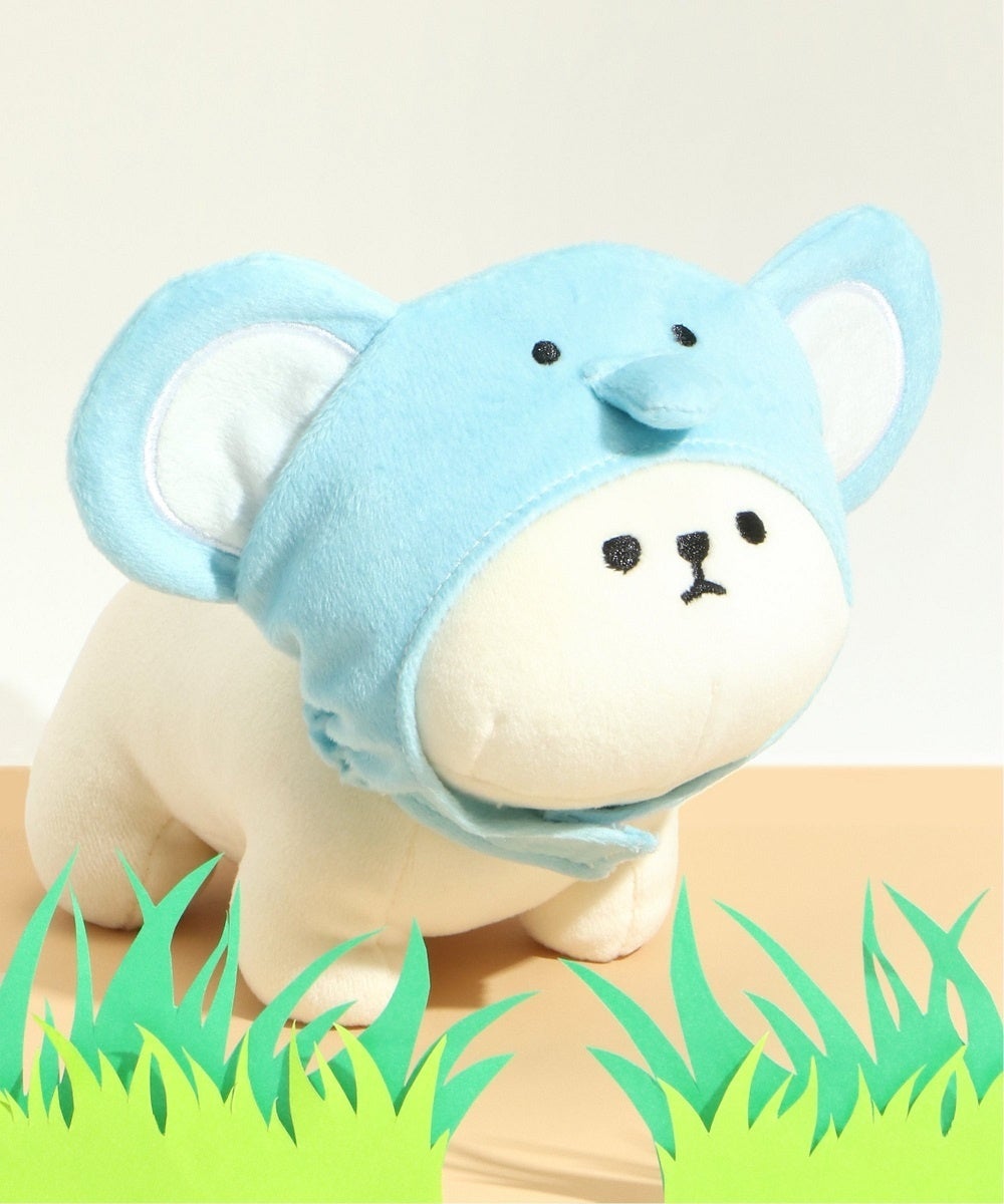 ゾウ