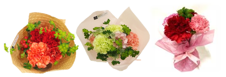 イオン ４月２９日より 母の日フラワーギフト本格展開 イオン株式会社のプレスリリース