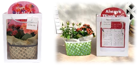 イオン ４月２９日より 母の日フラワーギフト本格展開 イオン株式会社のプレスリリース