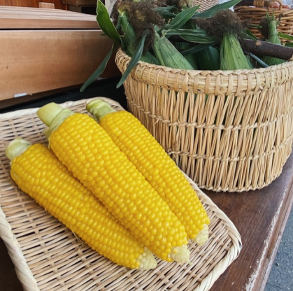 「小笠原農園のとうもろこし」