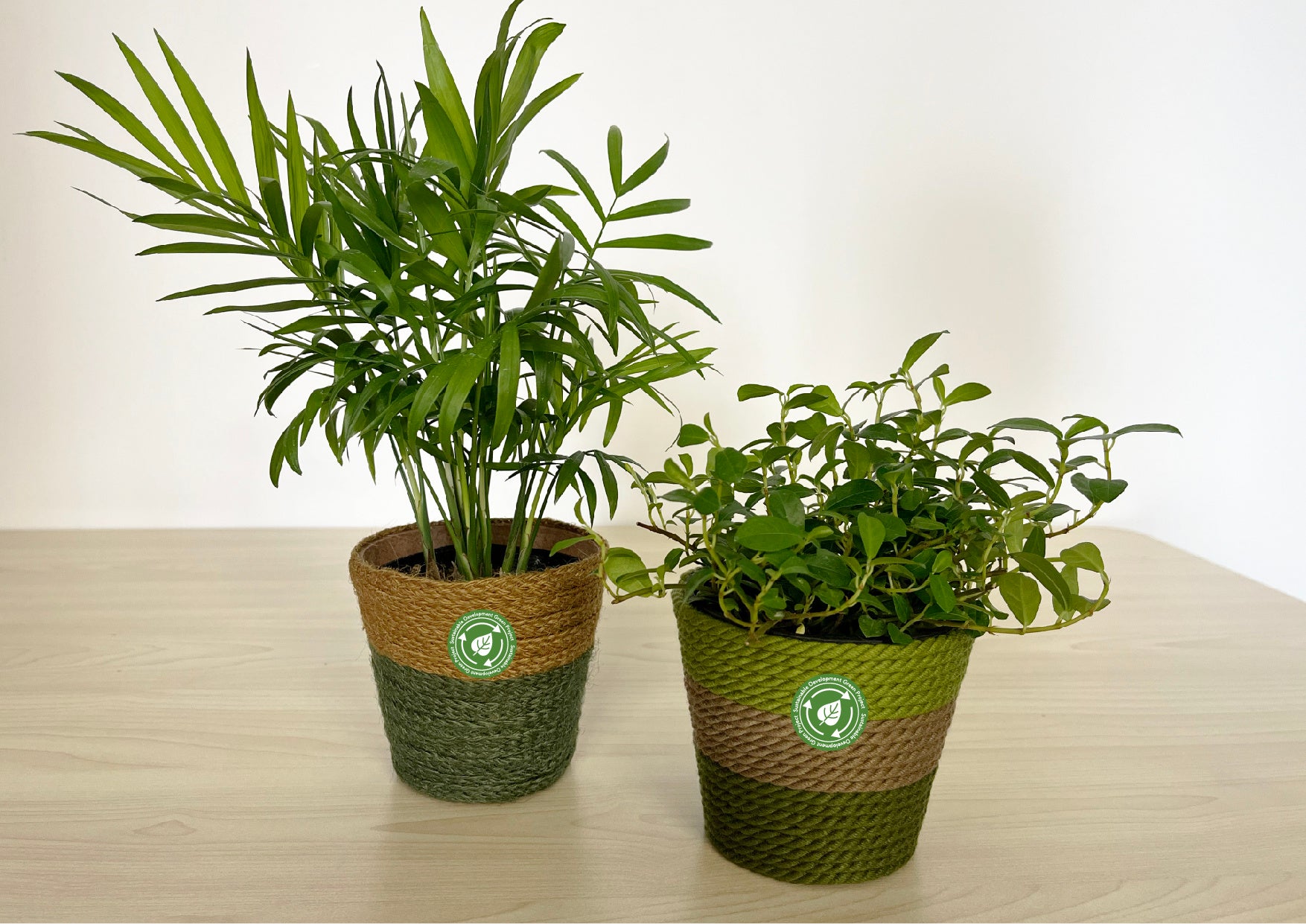 「SDGP」対象商品