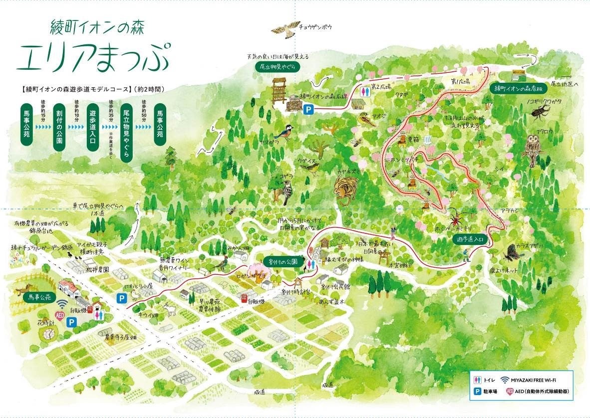 綾町イオンの森エリアまっぷ