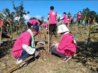 2021年の植樹の様子