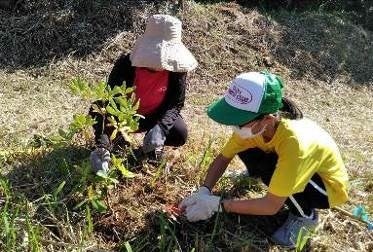 2021年の植樹の様子