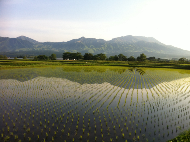 グランプリ団体活動地