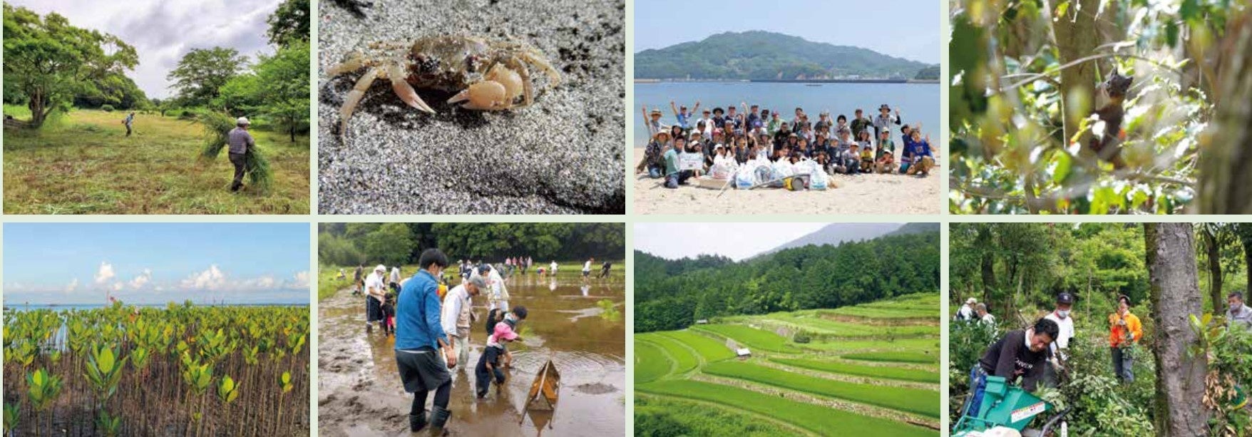 上段左から あびこ谷津学校友の会、愛知守山自然の会、特定非営利活動法人アーキペラゴ、山中比叡平里山俱楽部 下段左から 特定非営利活動法人ハロハロ、かせやまの森創造社、NPO法人棚田LOVERS、吉田山の里山を再生する会