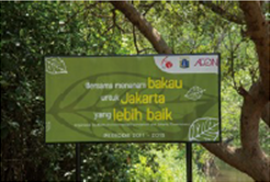 第1期植樹（2011年）から7年後の植樹地