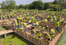 第2期第1回植樹（2018年）