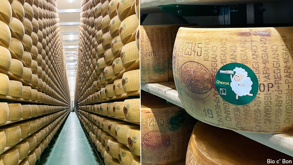 サンタンナ貯蔵庫の様子