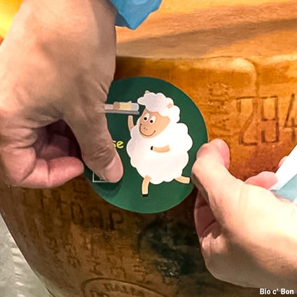 多くの原木の中から自信作 をオーナーと一緒に選びました！