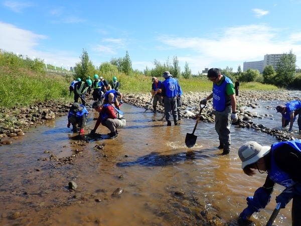 北海道の持続可能なサケ資源を守るため「豊平川のサケ産卵環境改善活動」を9月7日(日)に実施します