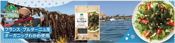 ジョエル・ロブションの秋限定スイーツ 茨城県産和栗をまるごと贅沢に使用した「デリス マロン カシス」