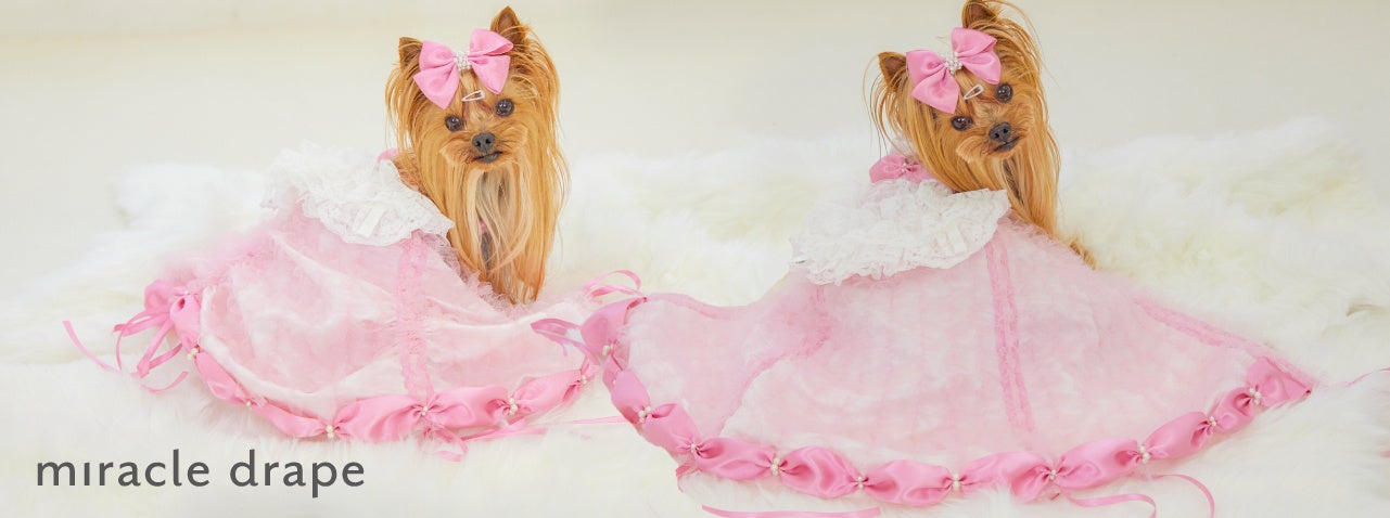 マリー アントワネットにインスパイアされた極上の犬用変身ドレスが登場 株式会社ピカコーポレイションのプレスリリース