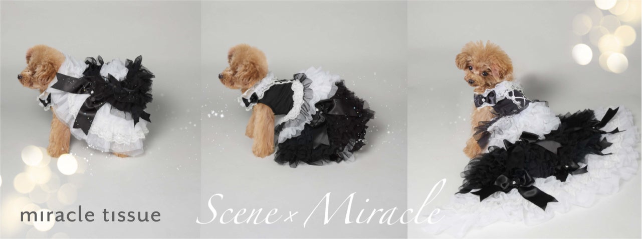 マリー アントワネットにインスパイアされた極上の犬用変身ドレスが登場 株式会社ピカコーポレイションのプレスリリース