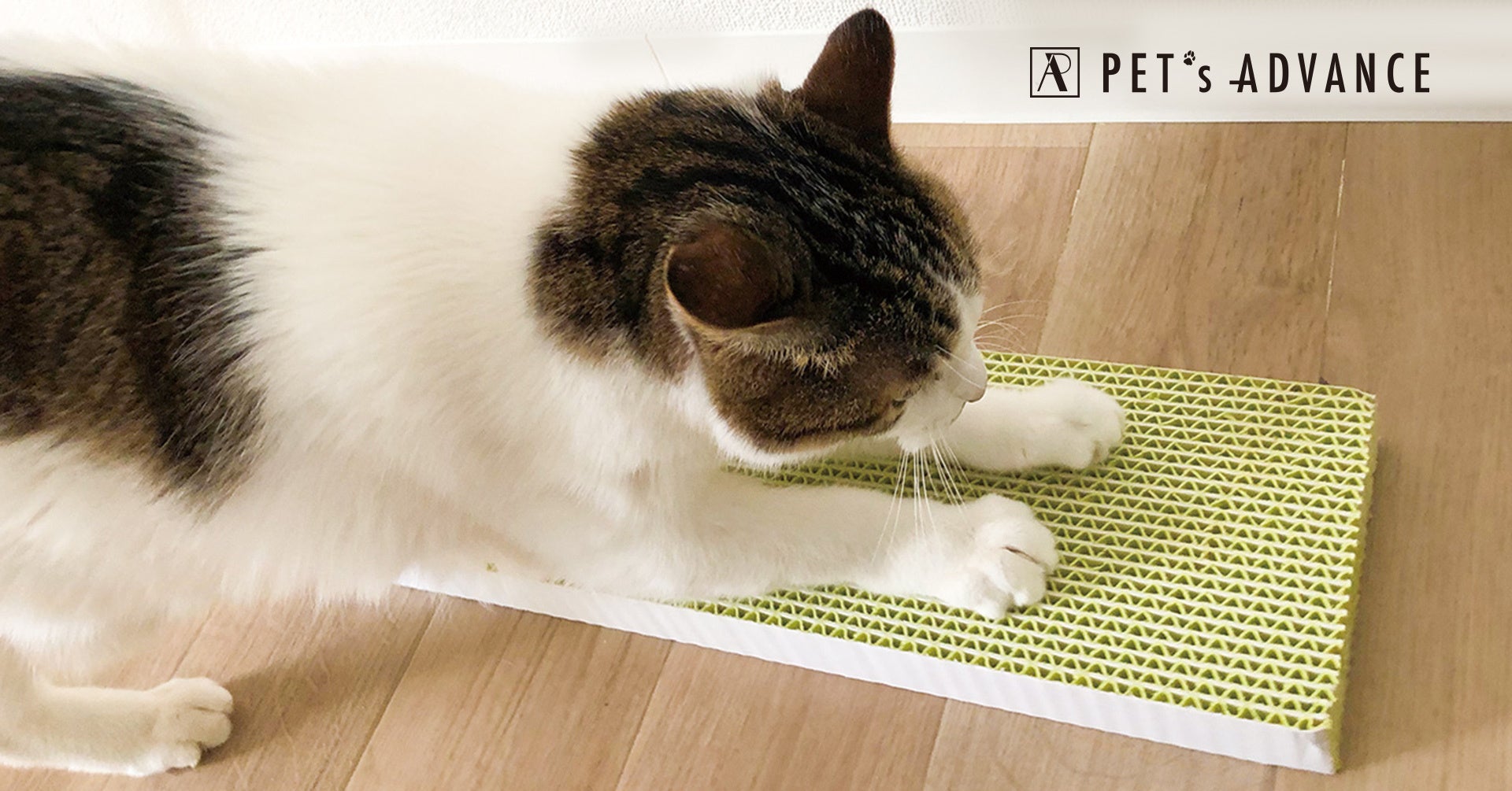 猫用紙製爪とぎ 丈夫でとぎカスが出にくく長持ち ネコトギ が公式オンラインショップより販売開始 株式会社ピカコーポレイションのプレスリリース 猫用紙製爪とぎ 丈夫でとぎカスが出にくく長持ち ネコトギ が公式オンラインショップより販売開始 株式会社ピカコーポレイションのプレスリリース