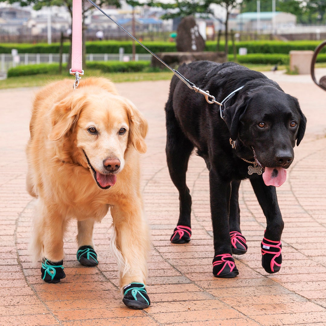 75mylvecxcvizm 75mylvecxcvizm