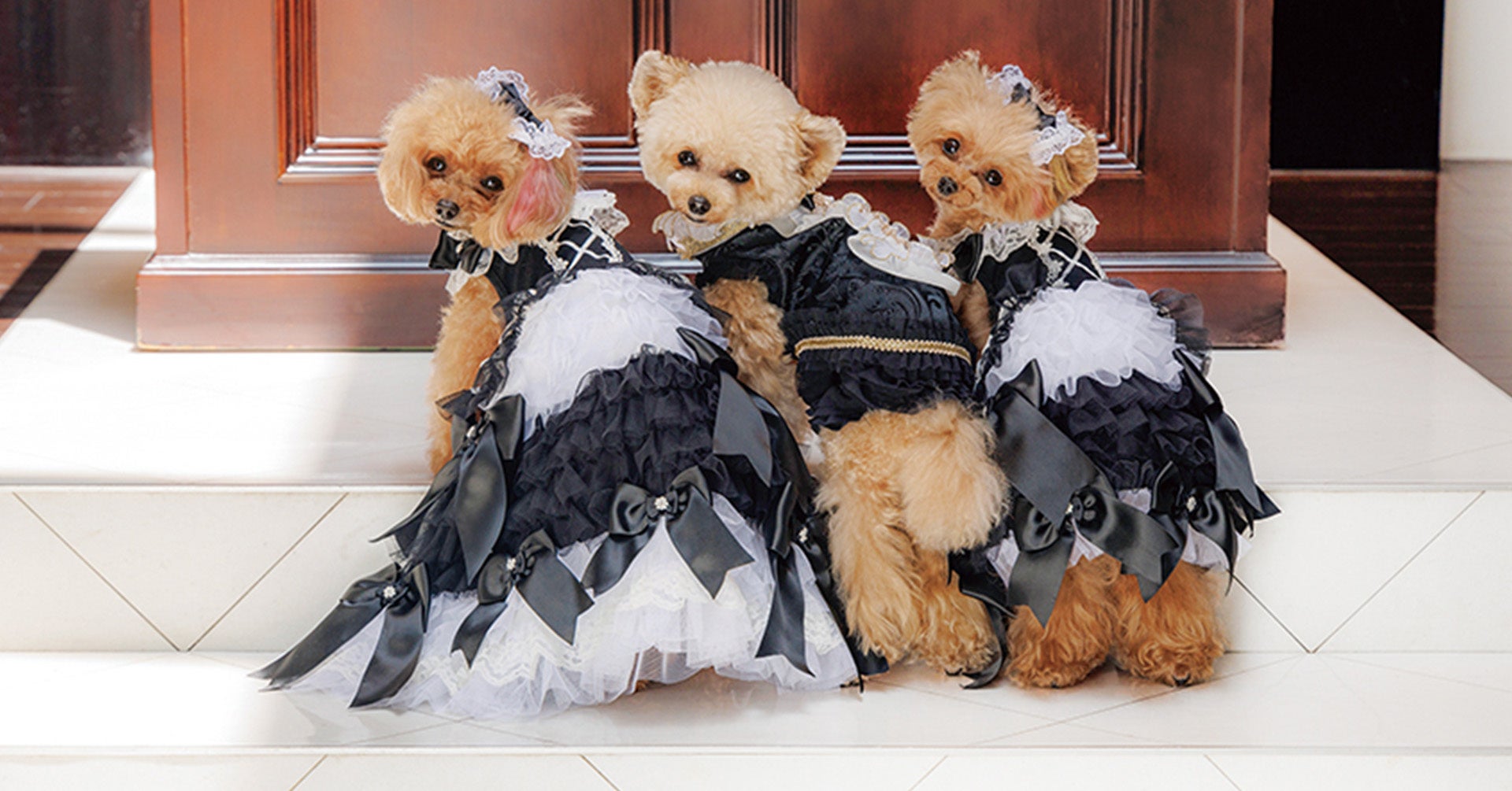 犬服・アクセサリー MIMI 犬用変身ドレスブランド「ミミーメリー」対象商品ご購入でヘア