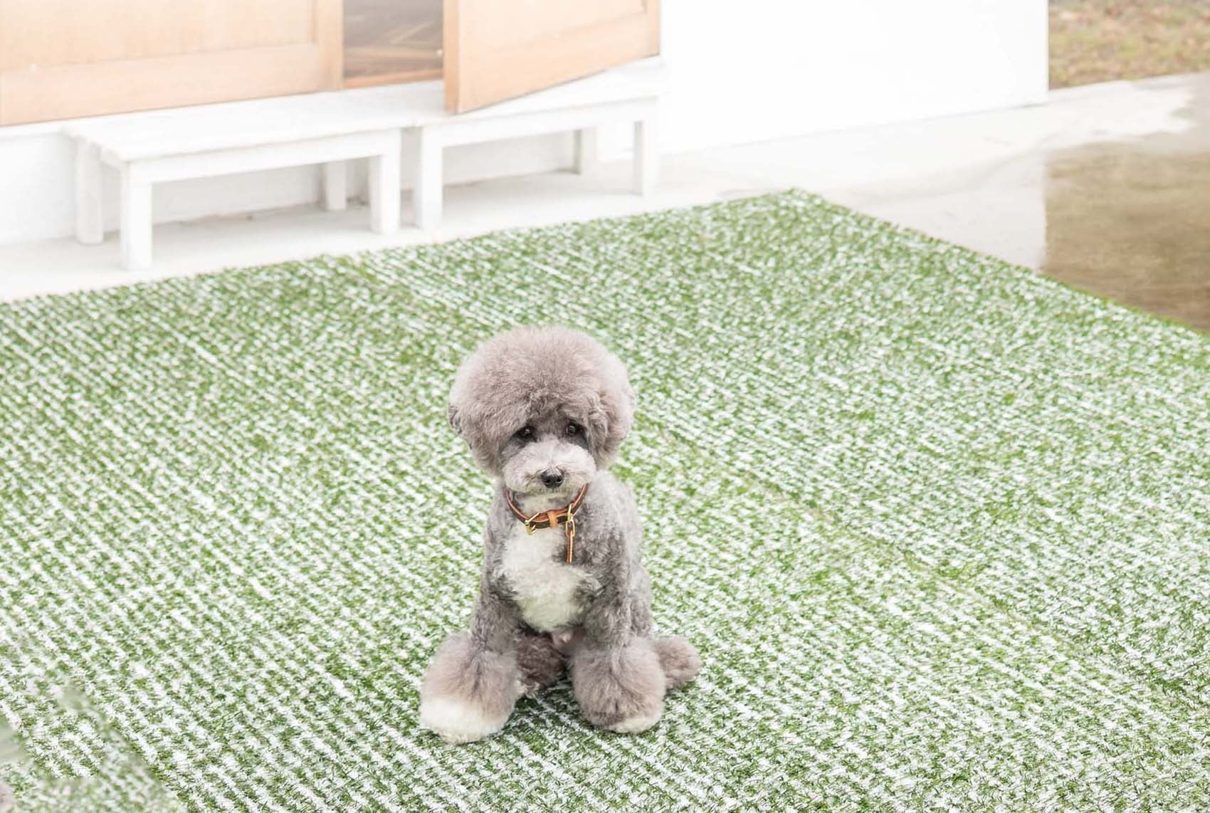 涼しげな遮熱人工芝