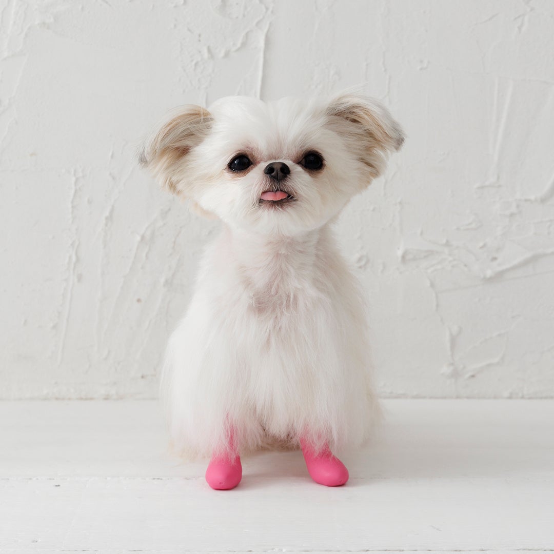 パウテクト　レインブーツタイプ