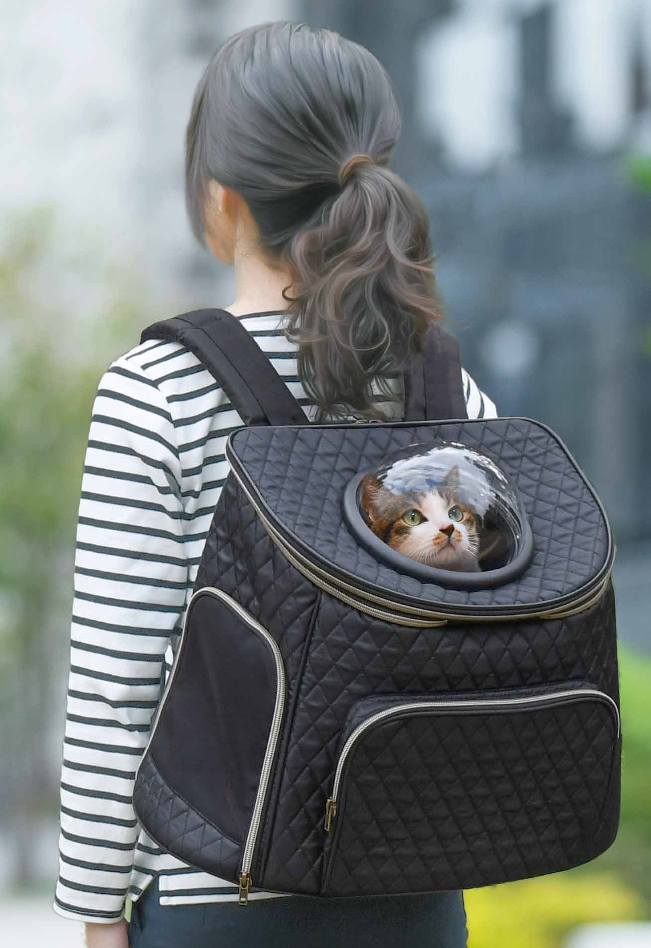 キャリーバッグ